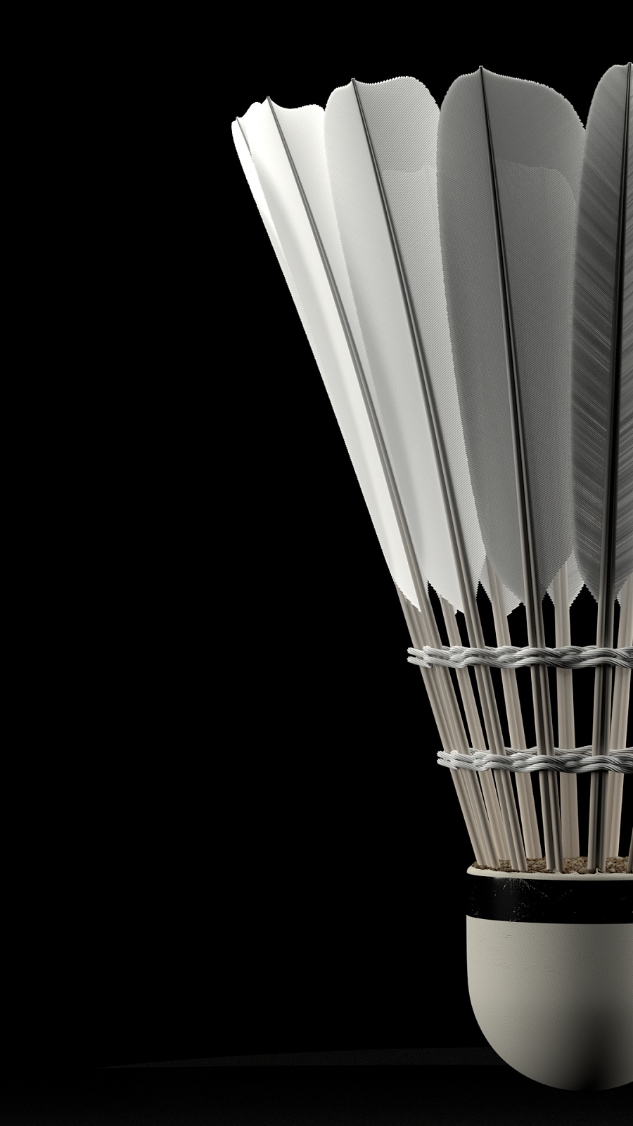 其他球队的 其他球队的