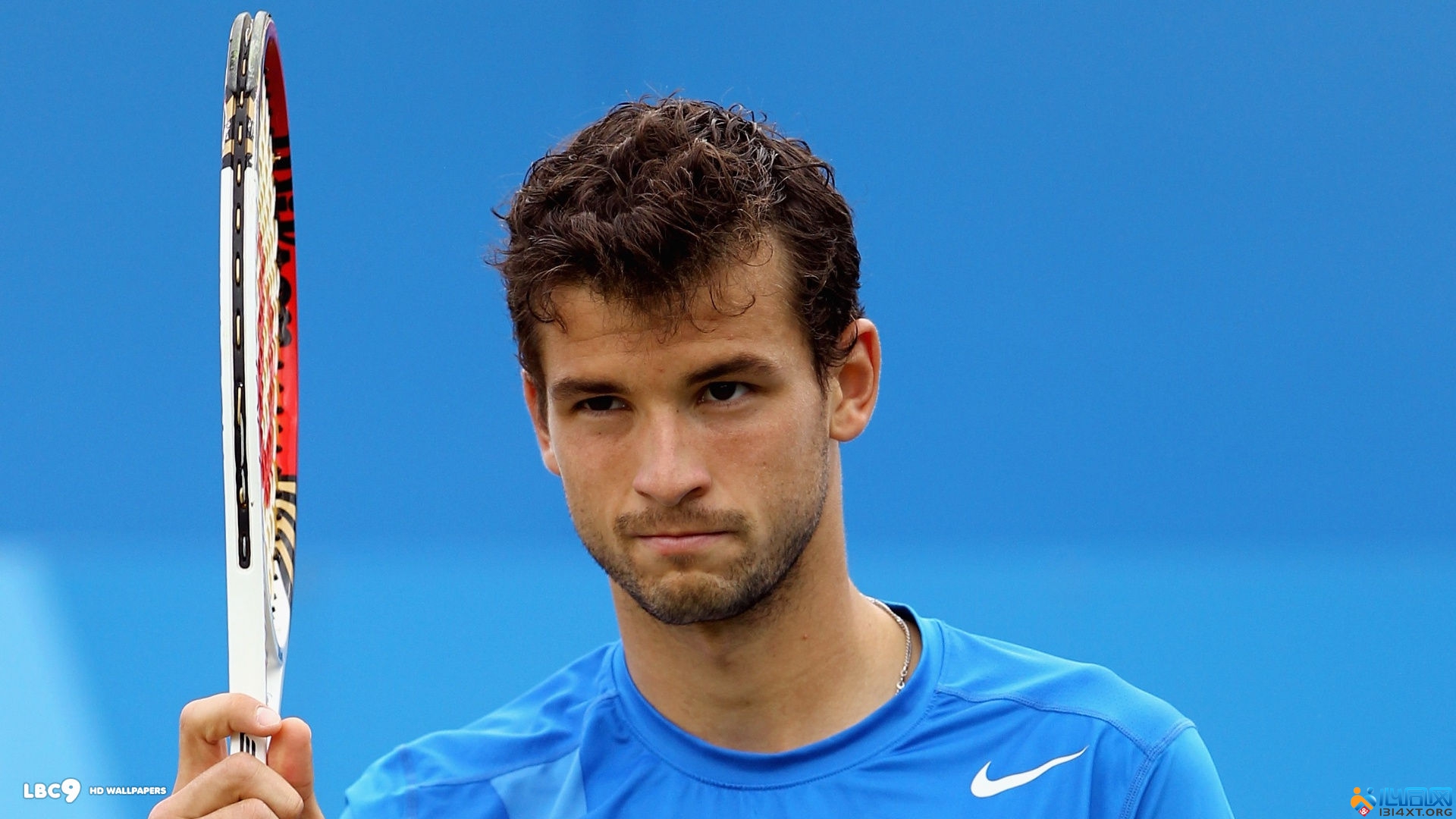 度领先19 度领先19