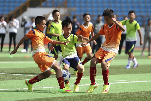 同一套决策 同一套决策